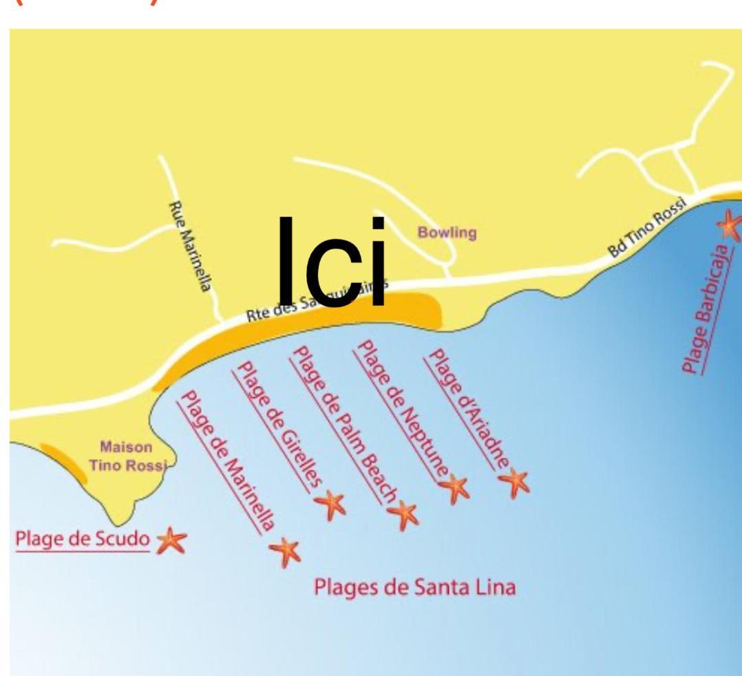 Superbe Pieds Dans L Eau Ajaccio Face A La Mer Plage De Sable Fin Route Des Iles Des Sanguinaires ภายนอก รูปภาพ